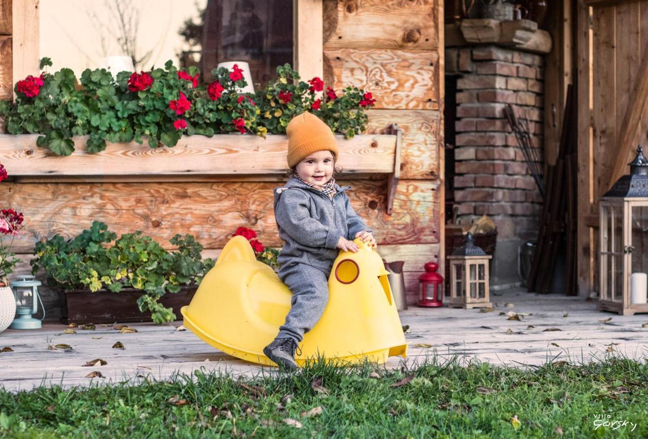 Luxury Chalet Villa Gorsky Hanco & Janso Poronin Bagian luar foto
